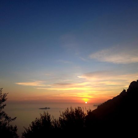 L'Uliveto Bed & Breakfast Positano Dış mekan fotoğraf