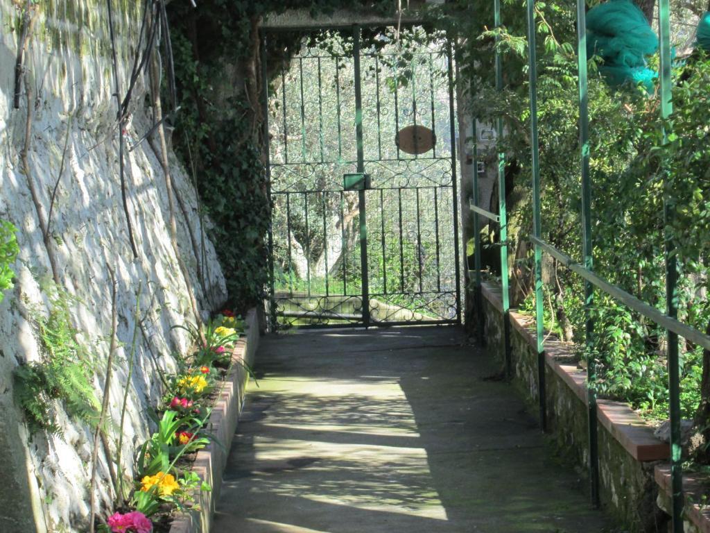 L'Uliveto Bed & Breakfast Positano Dış mekan fotoğraf