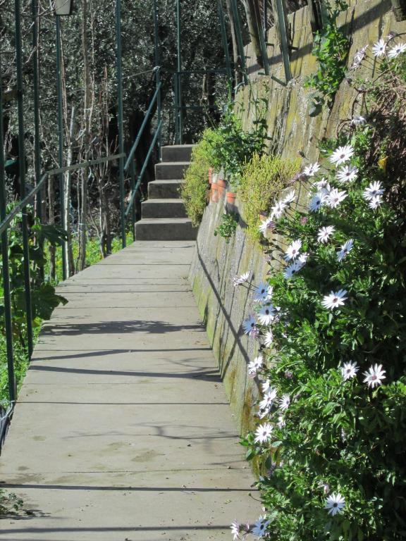 L'Uliveto Bed & Breakfast Positano Dış mekan fotoğraf