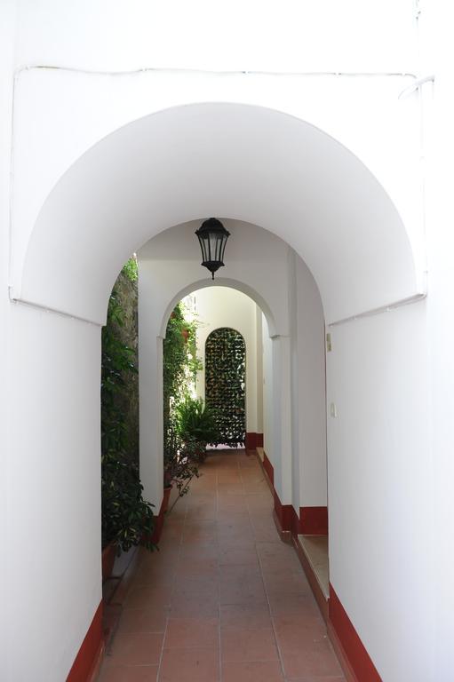 L'Uliveto Bed & Breakfast Positano Dış mekan fotoğraf